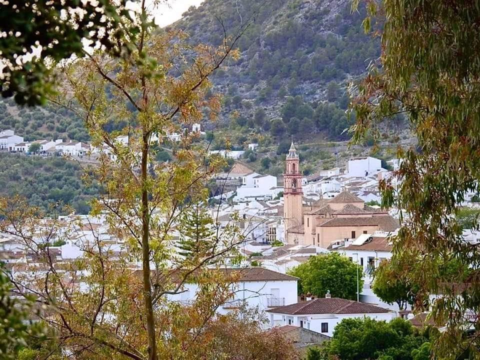 Casa Ana Villa Algodonales Kültér fotó